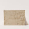 Study of Two Bovine Animals by The Veneto