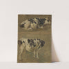 Study of two Cows by Anders Askevold