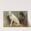 Study Of Two Dogs by Rosa Bonheur