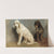 Study Of Two Dogs by Rosa Bonheur