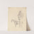 Study of Two Horses by Sawrey Gilpin