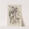Study of Two Naked Men by Peter Paul Rubens