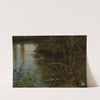 Study of Water and Plants by Thomas Fearnley