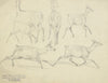 Study sheet; Chamois