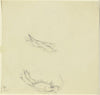 Study sheet; drapery