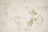 Study sheet with a young man in profile, looking left; studies of figures and heads (ca. 1725 – 1730)