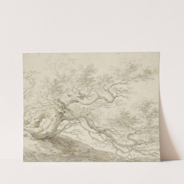 Stunted tree by Herman Saftleven III