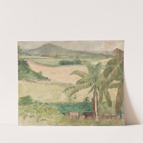 Sugar estate by William Berryman