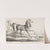 Suite de Chevaux; Cheval Arabe (c. 1780–1836) by Carle Vernet