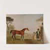 &#039;Sultan&#039; at the Marquess of Exeter&#039;s Stud, Burghley House by Lambert Marshall
