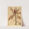 Sumac by Bertha Jaques