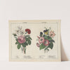 Summer Flowers by Charlotte Mary Yonge