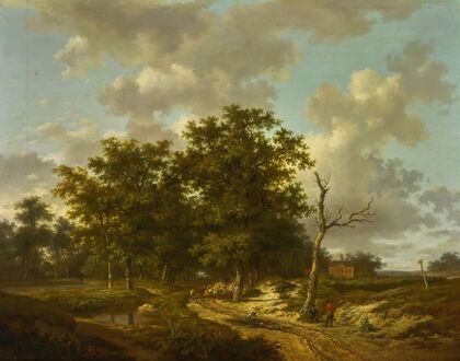 Summer landscape