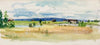 Summer Landscape