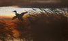 Summer Night Ducks Lifting off