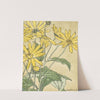 Sunflowers (possibly Jerusalem Artichoke) by Hannah Borger Overbeck