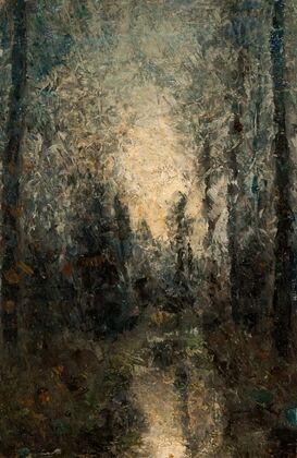Sunlight Shimmering through the Trees