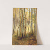 Sunlit Birch Forest by Hamilton Hamilton