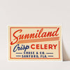 Sunniland Crisp Celery Label (1930-1950)
