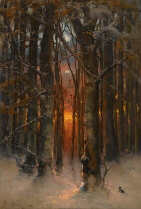 Sunset Through The Trees