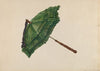 Sunshade