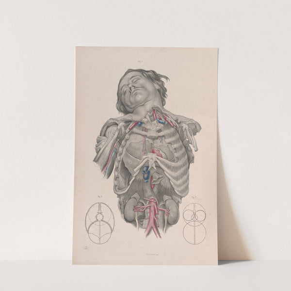 Surgical anatomy Pl.01 (1856) by Joseph Maclise