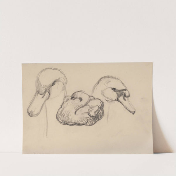 Svane og hoveder af svaner (1911) by Jens Adolf Jerichau