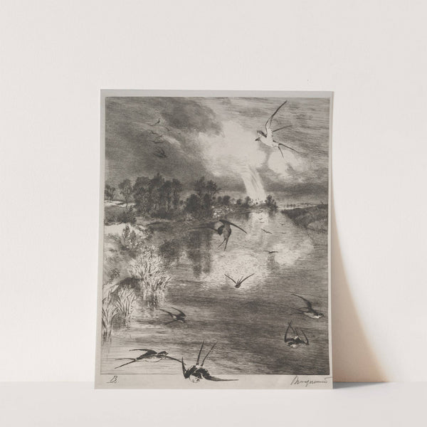 Swallows (1882) by Félix Bracquemond