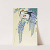 Swallows and Wisteria by Ohara Koson