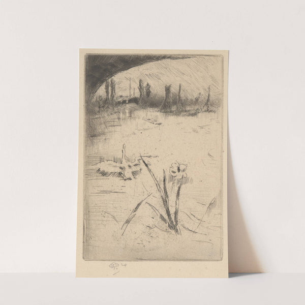 Swan and Iris (ca. 1883) by James Abbott McNeill Whistler