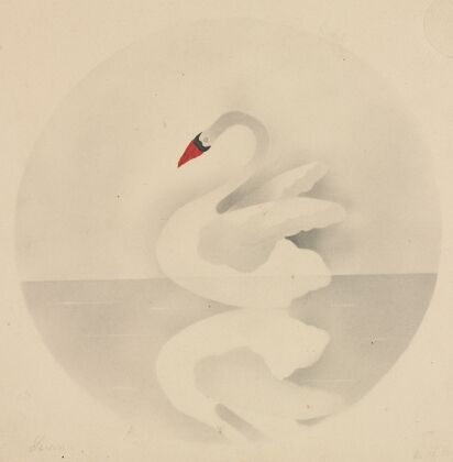 Swan (1800s)