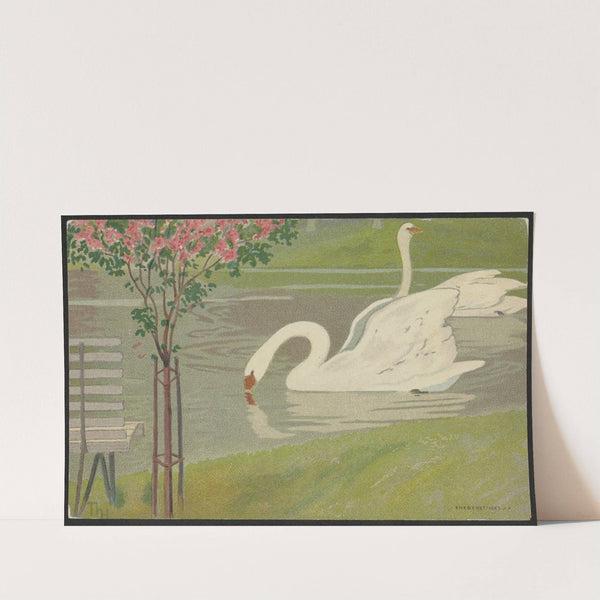 Swans by Thorolf Holmboe