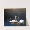 Swans in Reeds (1907) by Bruno Liljefors