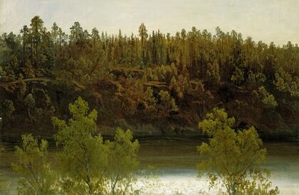 Swedish Lake. Study