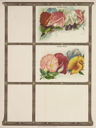Sweet Peas (1921)