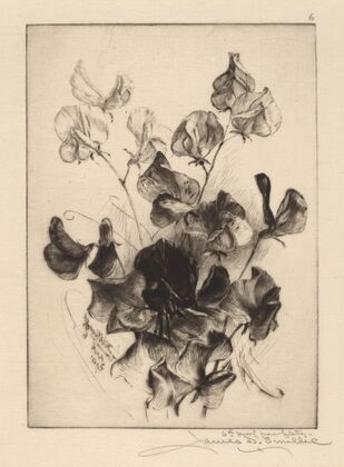 Sweet Peas (1891)