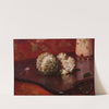Sweetsop by Agostinho da Motta