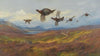 Swerving From The Guns-Red Grouse (1913)