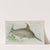 Swordfish (1889) by Allen &amp; Ginter