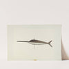 Swordfish Weather Vane by Robert Pohle