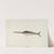 Swordfish Weather Vane by Robert Pohle