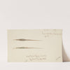Syngnathidae : Broad bodied Pipefish (1867) by Frank Edward Clarke