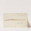 Syngnathidae : Common Pipefish (before 1870) by Frank Edward Clarke