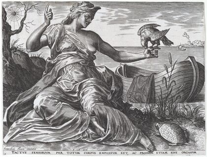 Tactus (1561)