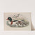 Tadorna vulpanser. Sheldrake. (1862-1873) by John Gould