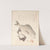 Tai Fish and Top-Shells by Kubo Shunman