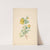 Tak van een gele roos (Rosa Lutea) by Willem van Leen
