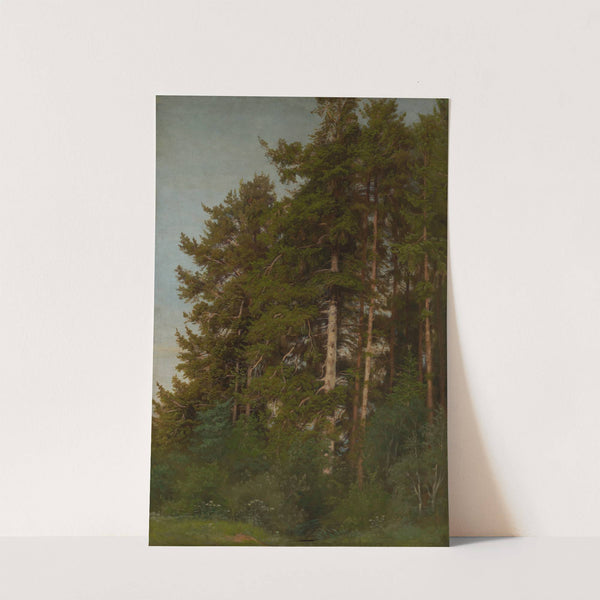 Tannen und Unterholz by Emil Lugo