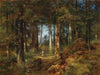 Tannenwald