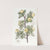 Tansy-leaved Hawthorn by Sydenham Edwards